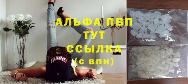 трава Бородино