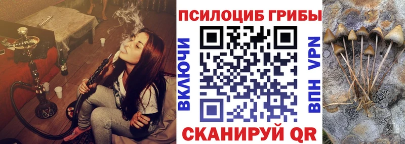 Купить где  Морозовск  Галлюциногенные грибы мицелий 